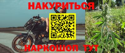 прущие крисы Ачхой-Мартан