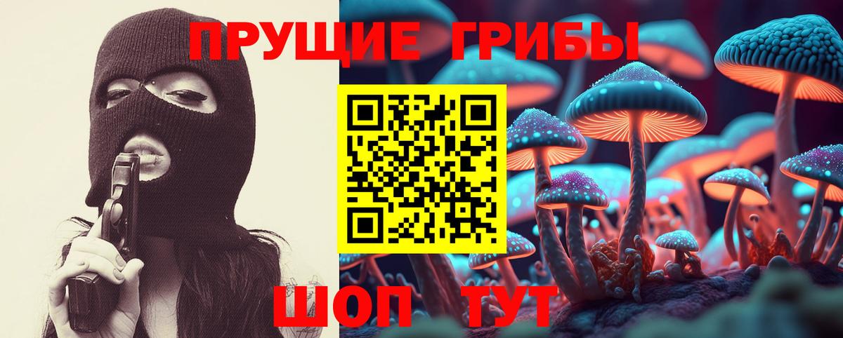 Кирово-Чепецк  Псилоцибиновые грибы мухоморы  Вход с VPN 