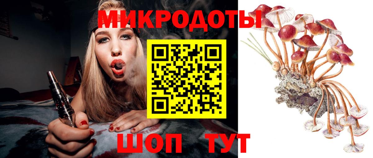 Псилоцибиновые грибы мицелий Кирово-Чепецк