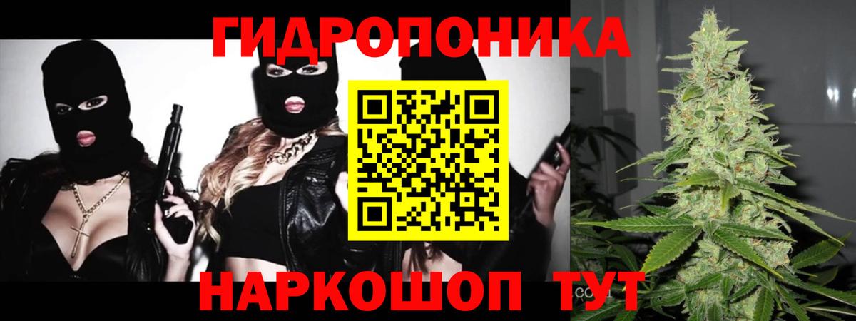 Канабис семена Кирово-Чепецк